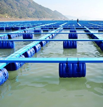 塑胶渔排设备 海洋防滑踏步板生产线 PE方管护栏生产设备